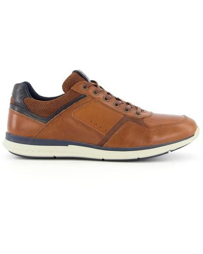Dune Thymes Trainers - Brown