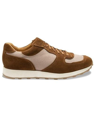 Loake Foster Low Cut Trainers - Brown