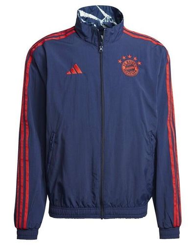 adidas Bayern Munich Anthem Jacket 2023/2024 - Blue