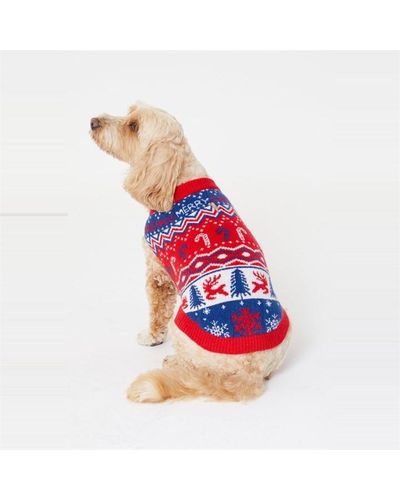 Be You Dog Jumper - Red