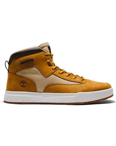 Timberland Timb Mpgr Trainer Sn99 - Brown