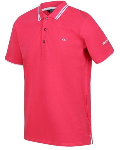 Regatta Talcott Polo Shirt - Pink