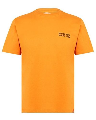 Dickies Pacific T Shirt - Orange