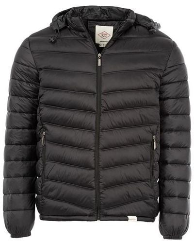 Lee Cooper Cooper Enhanced Winter Padded Jacket in Blue for Men