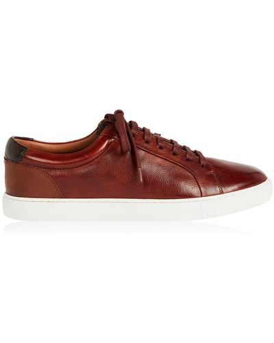 Ted Baker Udamo Trainers - Brown