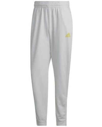 adidas Clubhouse Tennis joggers jogger - Grey