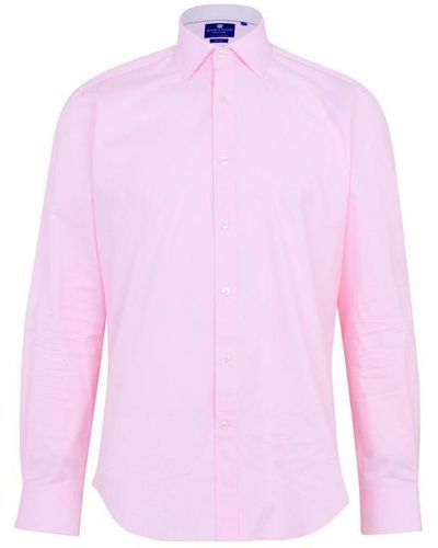 Haines and Bonner Hugh Tailor Fit Regular Collar Stripe Poplin Shirt - Pink