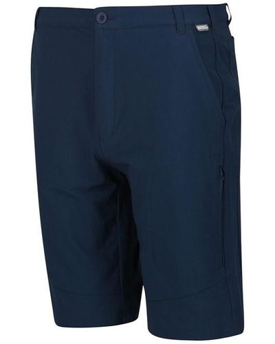 Regatta Highton Long Shorts - Blue