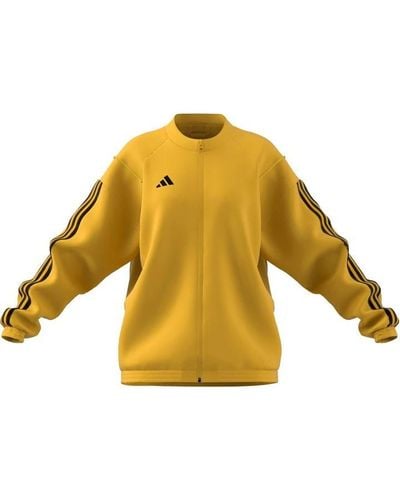 adidas Tiro23 Prejkw Ld99 - Yellow