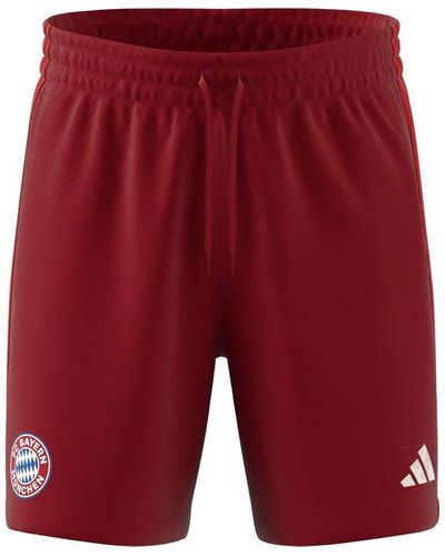 adidas Bayern Munich Dna Shorts 2024 2025 Adults - Red
