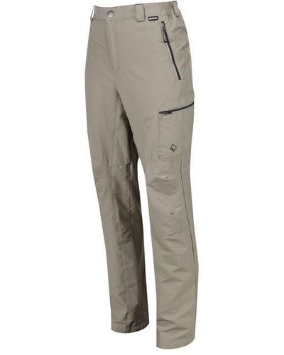 Regatta Highton Walking Trouser (short) - Grey