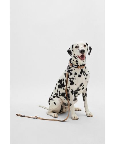 BOSS Halsband Voor Honden Met Jacquardgeweven Logo - Wit