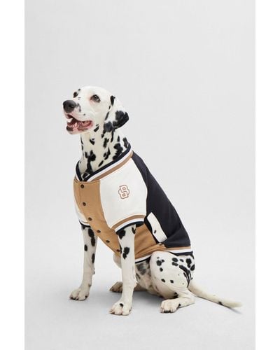 BOSS Dog Bomber Jacket With Embroidered Logo - White