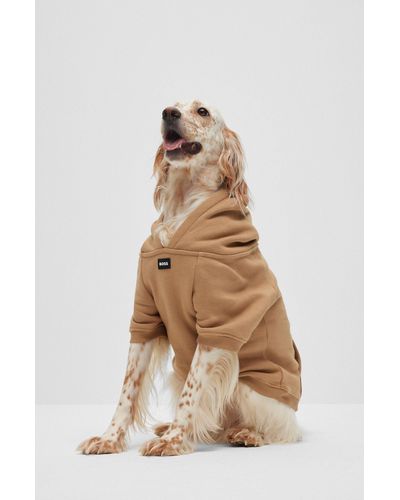 BOSS Sweat à capuche pour chien en coton mélangé avec logo contrastant - Neutre