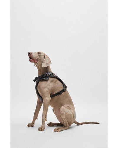BOSS Dog Mesh-lined Harness With Monogram Pattern - Natural