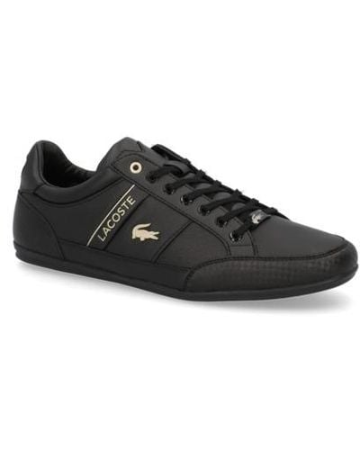 Lacoste sales chaymon sale