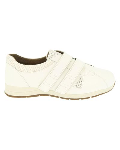 db shoes ladies
