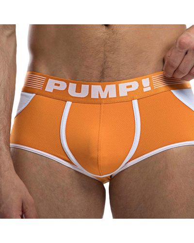 Pump! Shorty Bottomless Access Creamsicle - Orange