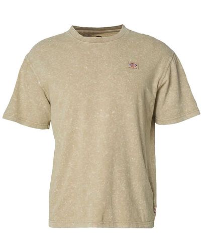 Dickies Newington Short Sleeves T-Shirt - Natural