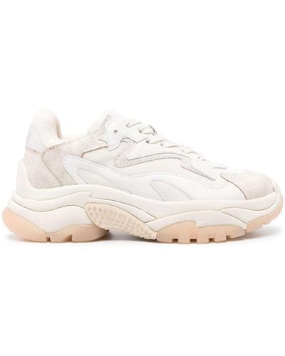 Ash Cream Suede Sneakers - White