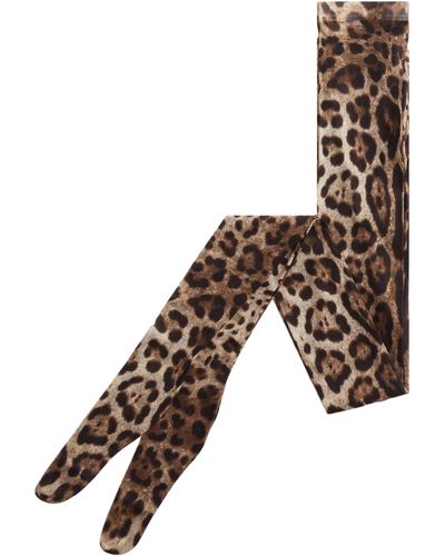 Dolce & Gabbana Leopard Print Tights In Tulle - Brown