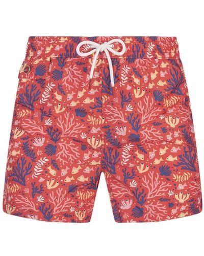 Kiton Swim Shorts With Fish And Coral Pattern - Red