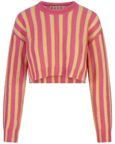 Marni And Striped Knitted Crop Pullover - Red