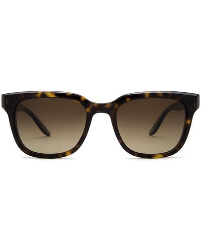 Barton Perreira Bp0221 Dark Walnut Sunglasses - Multicolour