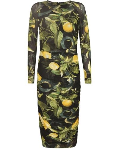 Roberto Cavalli Printed Mid-Length Dress - Green