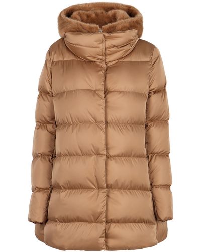 Herno Hooded Techno Fabric Down Jacket - Brown