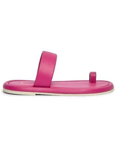 Barracuda Flip-Flops - Pink