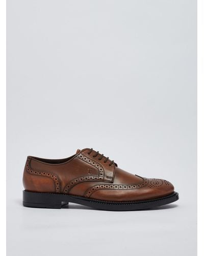 Tod's Derby Bucature Formale 62c Laced Shoe - Brown