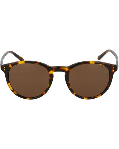Polo Ralph Lauren Sunglasses - Brown