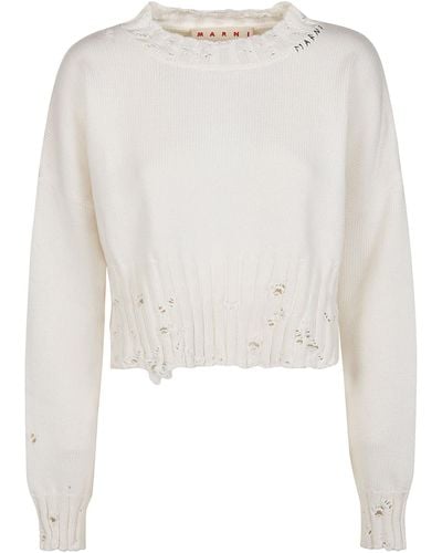Marni Cropped Roundneck Sweater - White