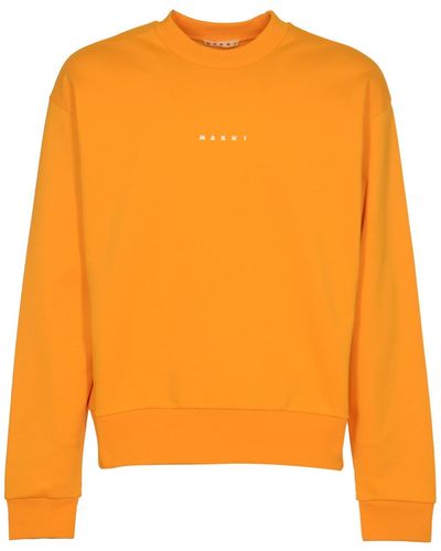 Marni Logo Organic Sweatshirt - Orange