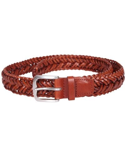 Orciani Coloring Belt - Brown