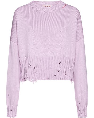 Marni Sweater - Purple