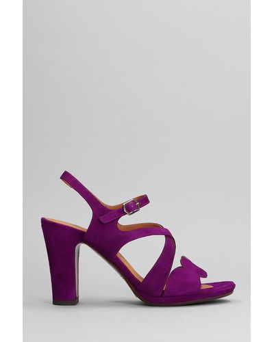 Chie Mihara Arana Sandals In Viola Suede - Purple