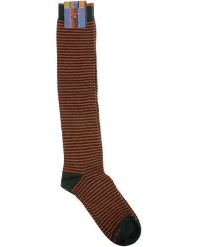 Gallo Socks - Brown