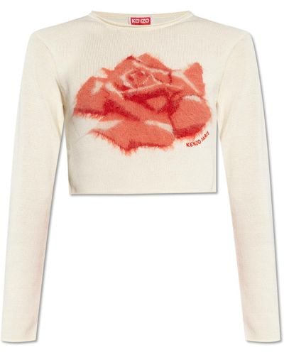 KENZO Cropped Sweater - Red
