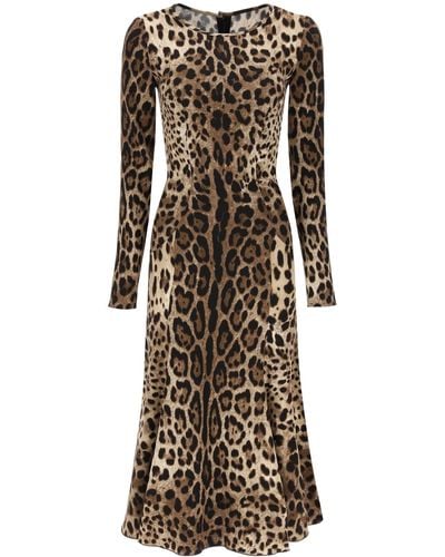 Dolce & Gabbana Midi Dress In Leopard Cady - Multicolor