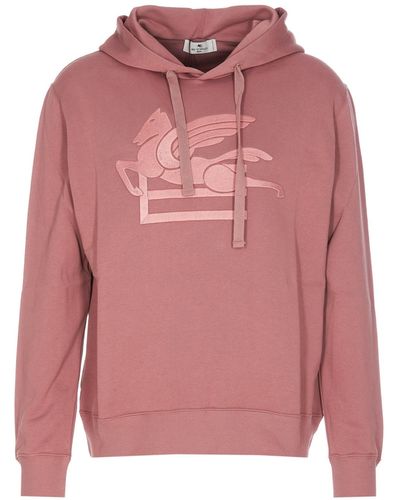 Etro Jumpers - Pink