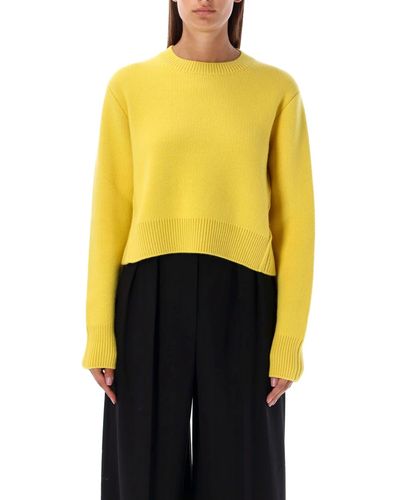 Lanvin Crewneck Sweater - Yellow