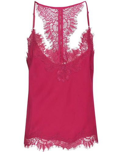 Gold Hawk Laced Top - Pink