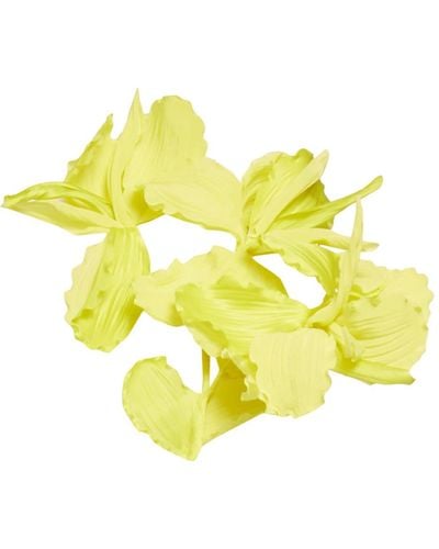 Sucrette Rami Iris - Yellow