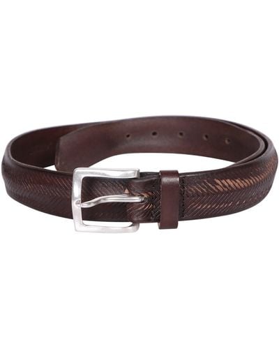 Orciani Masculine Down Belt - Brown
