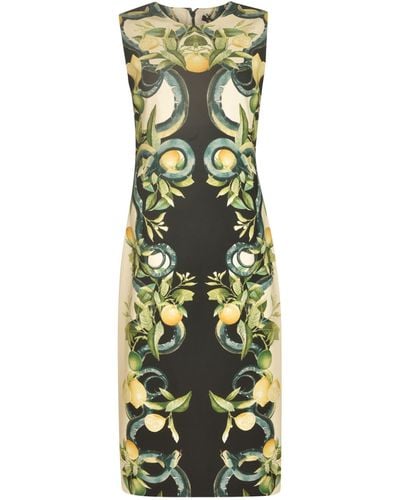 Roberto Cavalli Sleeveless Printed Dress - Green