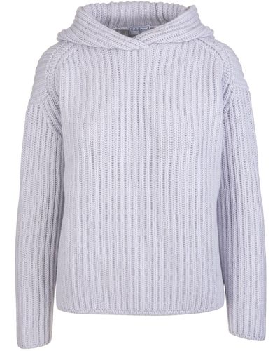 Fedeli Woman Hooded Jumper In Ice Ribbed Cashmere - Multicolour