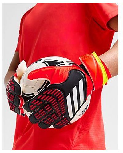 adidas Gants d'entraînement Predator - Noir