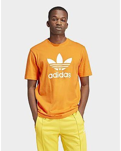 adidas T-shirt Trèfle Adicolor - Orange